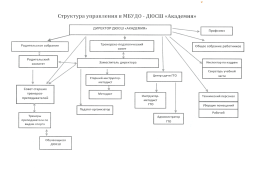 Структура управления в МБУДО-ДЮСШ Академия